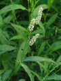 Thumbnail for version as of 16:16, 15 October 2007