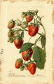 Thumbnail for version as of 09:59, 29 August 2007