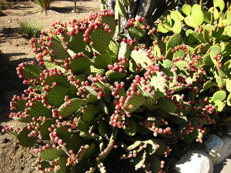 File:1280px-IMG 2100 hunt09oct.jpg