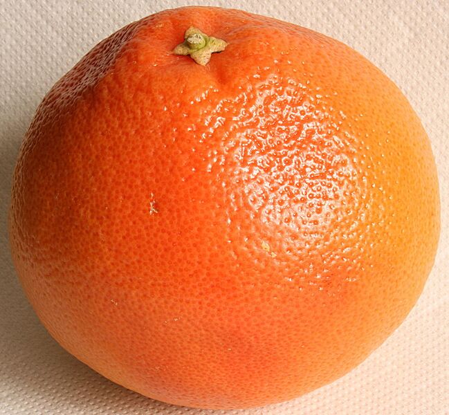 File:831px-Grapefruit 2008-3-3.JPG