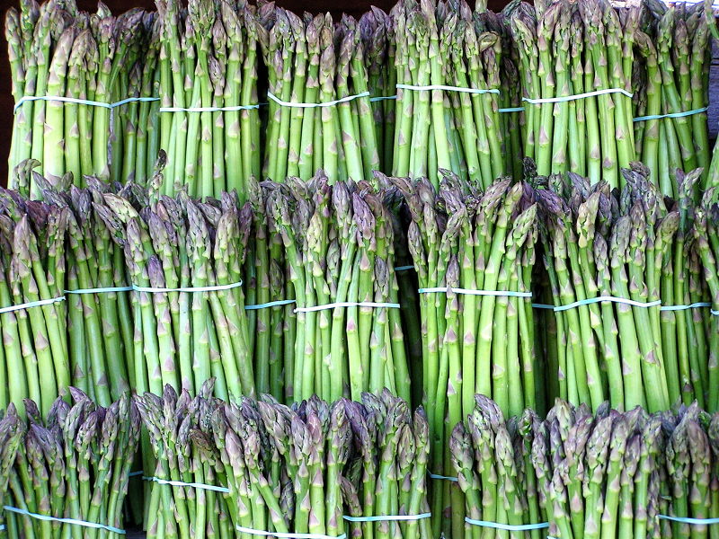 File:Asparagus-3596.jpg