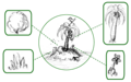 Thumbnail for version as of 16:45, 30 May 2007