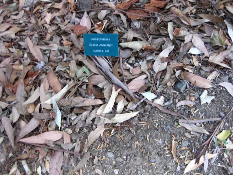 File:IMG 2585 ucla09.jpg