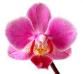 Thumbnail for version as of 08:13, 5 June 2007