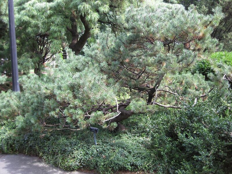 File:1280px-IMG 0693 bbg09.jpg