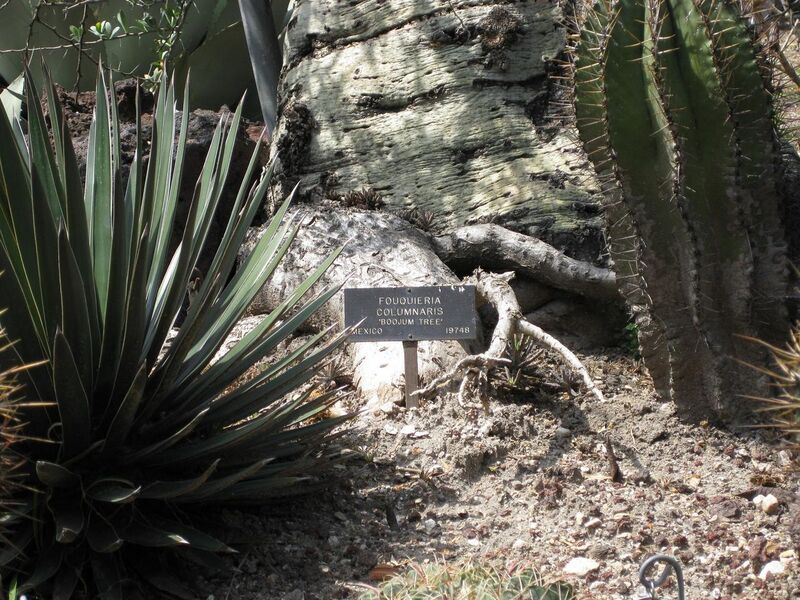 File:1280px-IMG 4372 hunt0904.jpg