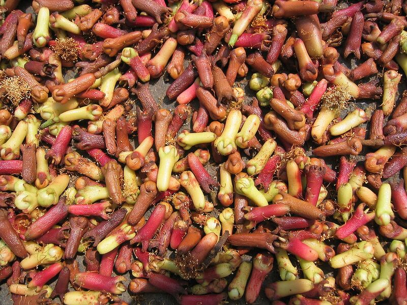 File:1280px-Syzygium aromaticum drying.jpg