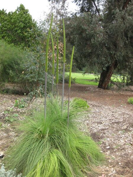 File:576px-IMG 4783 hunt0904.jpg