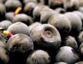Wild bilberries collected in Norway.