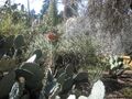 Thumbnail for version as of 09:17, 29 April 2025