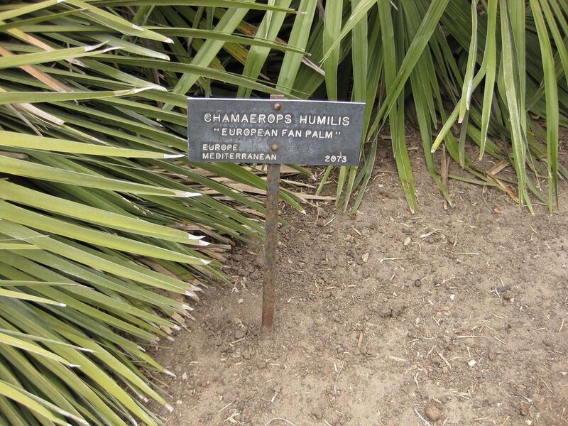 File:1024px-IMG 3871 hunt0904.jpg
