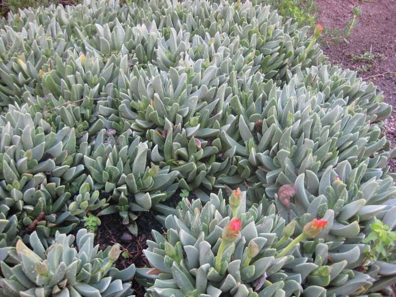 File:1280px-IMG 2135 hunt0903.jpg