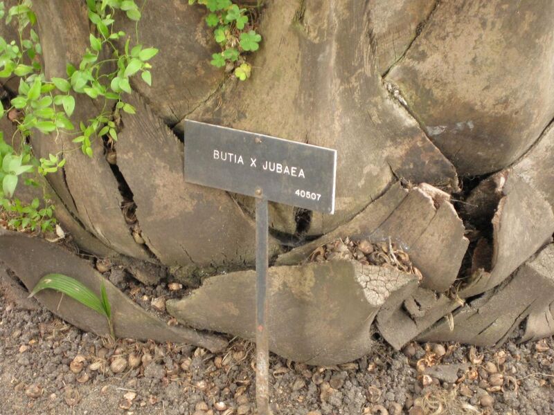 File:1280px-IMG 4032 hunt0904.jpg