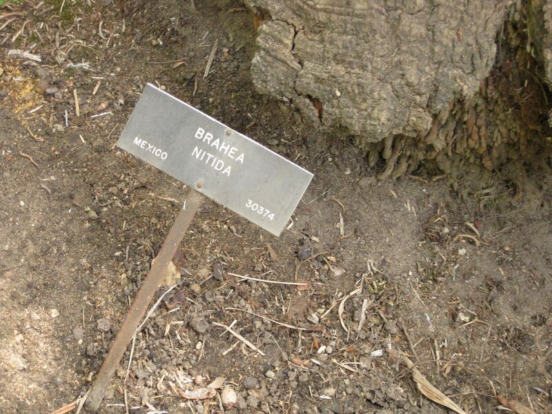 File:1280px-IMG 4133 hunt0904.jpg