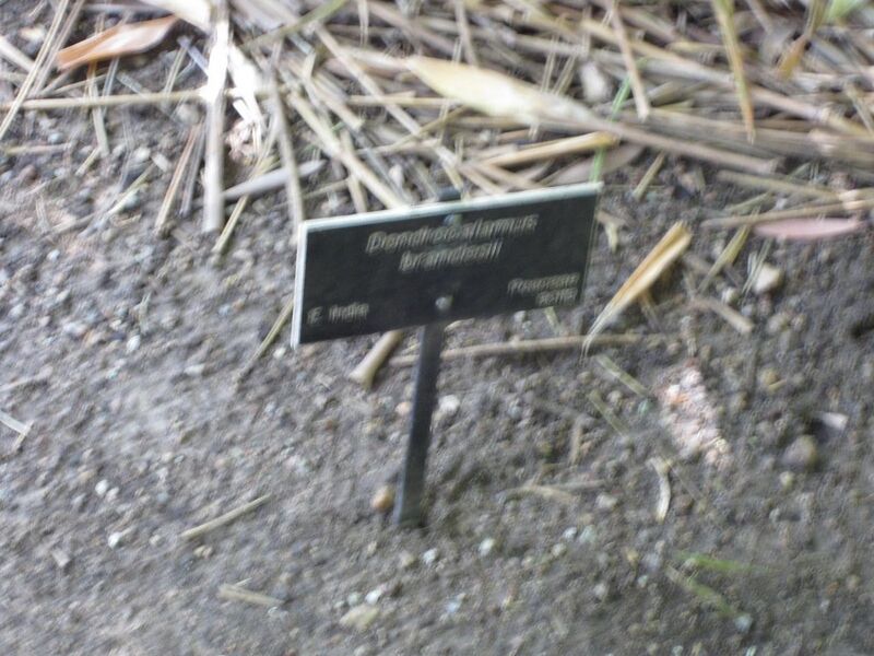 File:1280px-IMG 4200 hunt0904.jpg