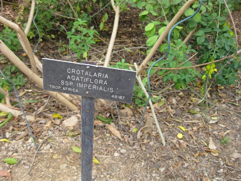 File:1280px-IMG 5164 hunt0904.jpg