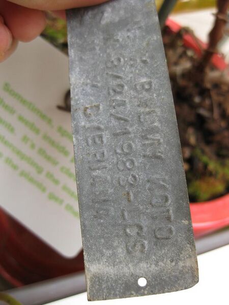 File:576px-IMG 7604 hunt09jun.jpg