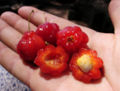 Thumbnail for version as of 16:54, 3 September 2008