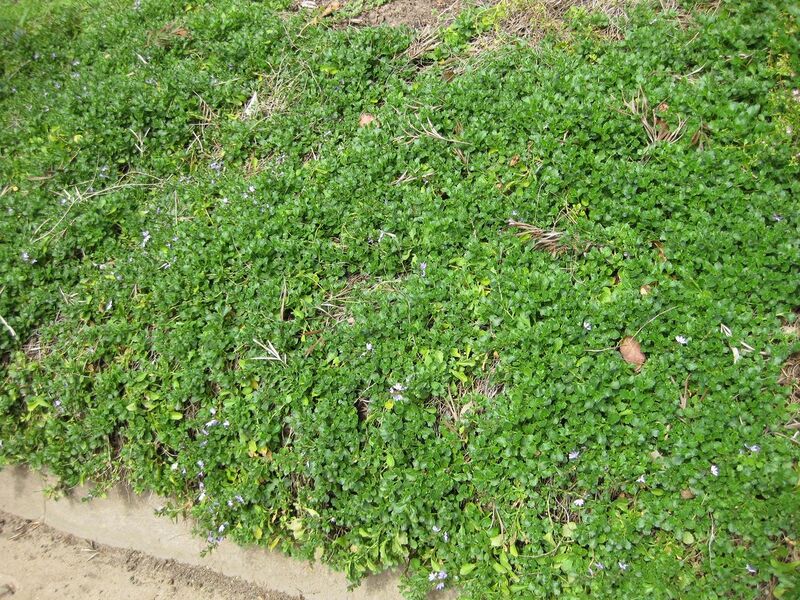 File:1280px-IMG 4549 hunt0904.jpg