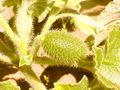 Thumbnail for version as of 10:37, 23 September 2007
