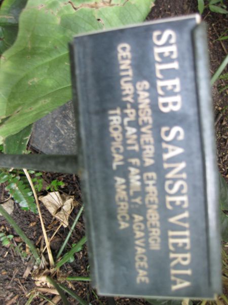 File:IMG 1099 bbg09.jpg