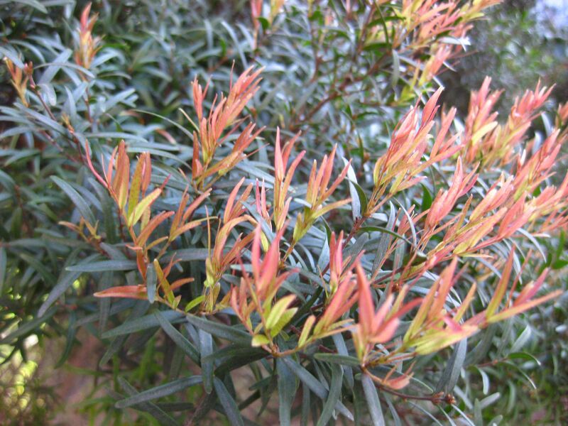 File:8kkbxeyphy3kdh0bxrcr5c5gqrdv7ej.jpg