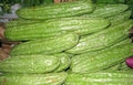 Bitter melons