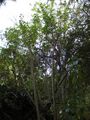 Thumbnail for version as of 10:35, 29 April 2025