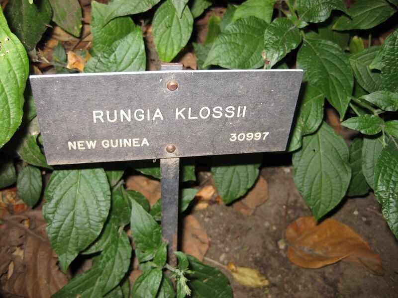 File:1024px-IMG 2009 hunt09oct.jpg