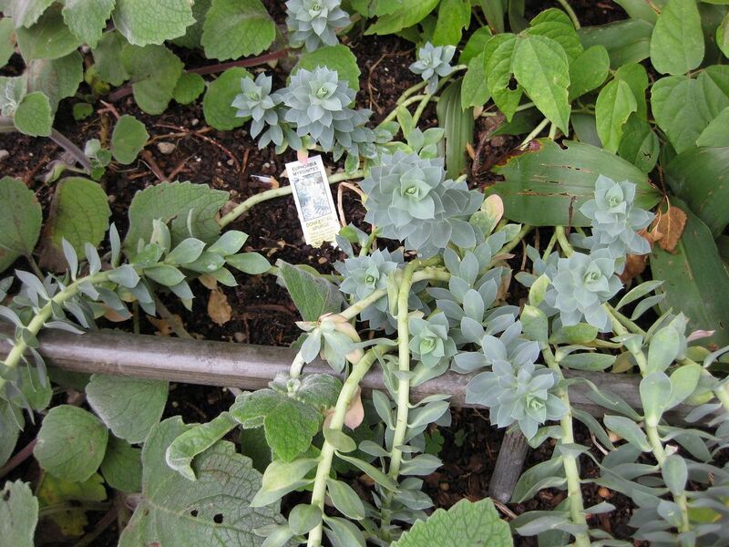 File:1280px-IMG 0722 bbg09.jpg