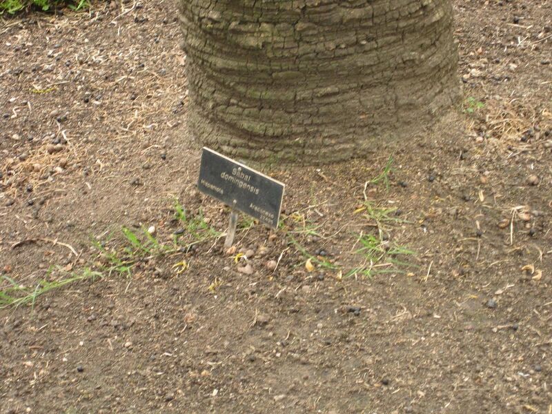 File:1280px-IMG 4041 hunt0904.jpg
