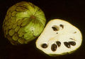 Thumbnail for version as of 11:32, 26 September 2007
