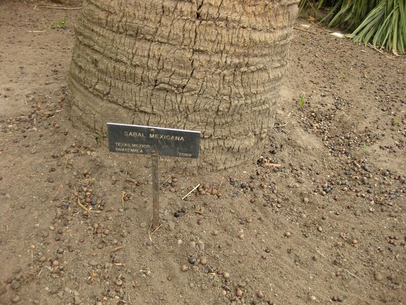 File:1024px-IMG 3956 hunt0904.jpg