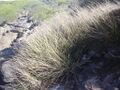 Thumbnail for version as of 10:25, 29 April 2025
