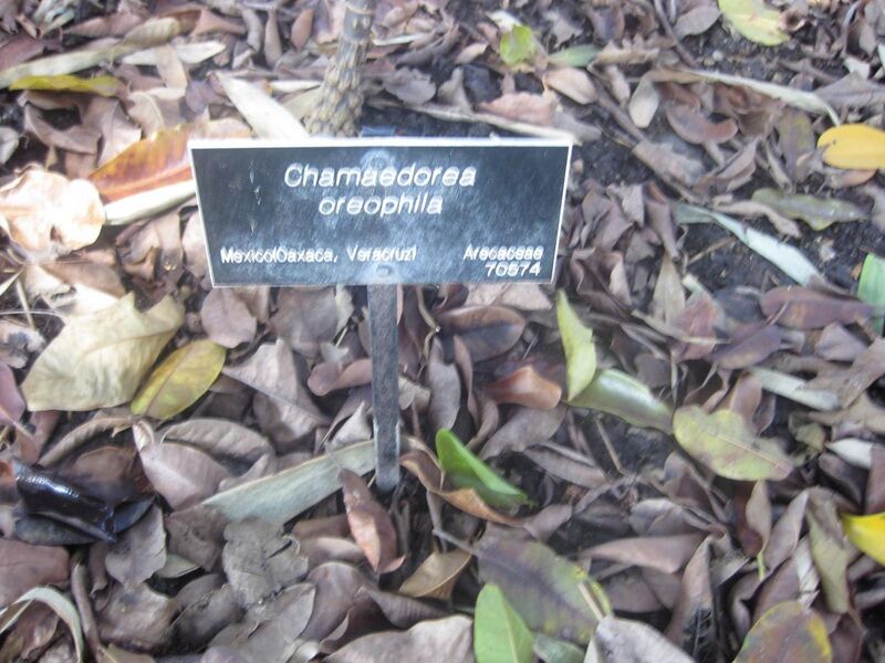 File:1280px-IMG 2036 hunt0903.jpg