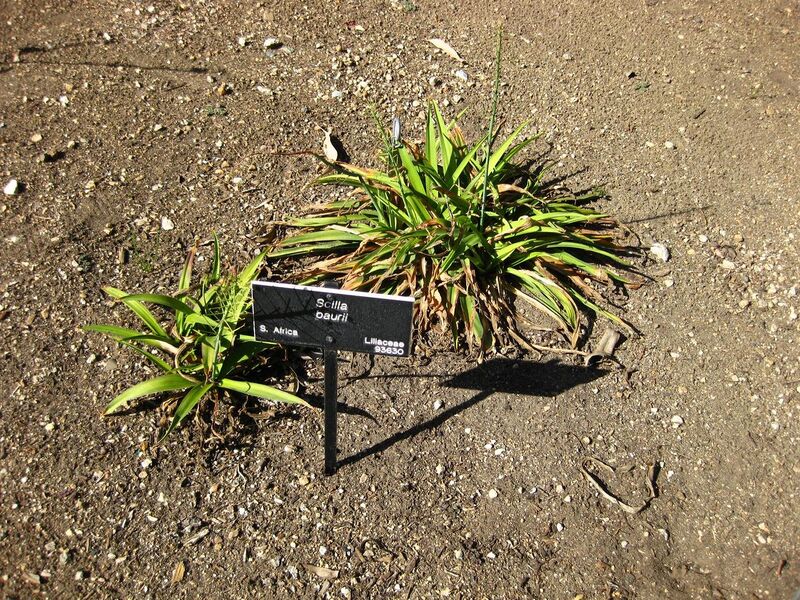 File:1280px-IMG 2082 hunt09oct.jpg