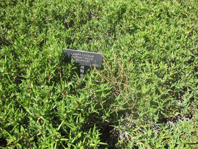 File:1280px-IMG 2158 hunt0903.jpg