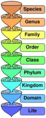 Thumbnail for version as of 17:31, 26 May 2007