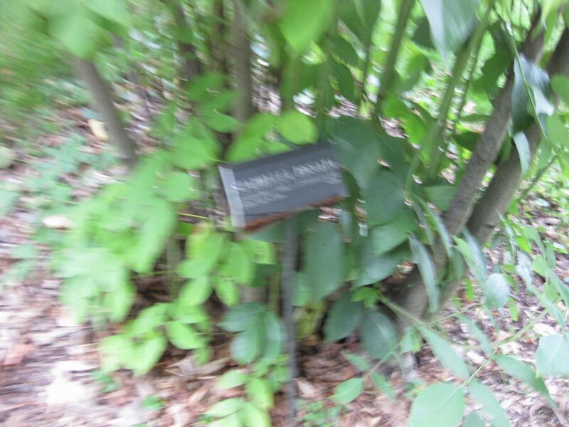 File:1280px-IMG 1337 bbg09.jpg