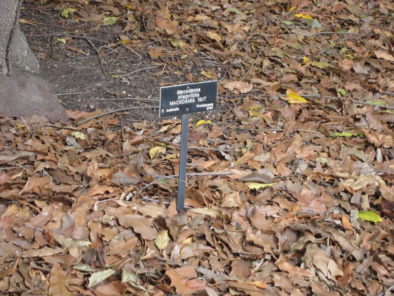 File:1280px-IMG 4186 hunt0904.jpg