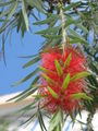Thumbnail for version as of 09:00, 25 November 2007