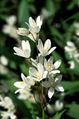 Thumbnail for version as of 03:52, 24 January 2008