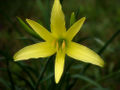 Thumbnail for version as of 01:01, 9 January 2011