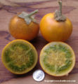 Thumbnail for version as of 16:50, 3 September 2008