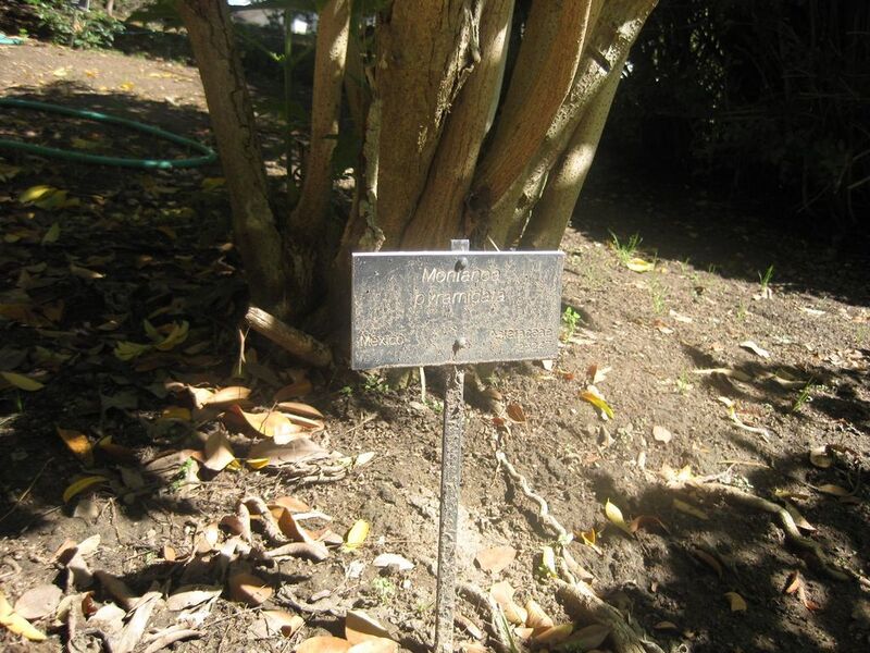 File:1024px-IMG 1978 hunt0903.jpg