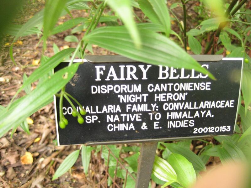 File:1280px-IMG 1453 bbg09.jpg