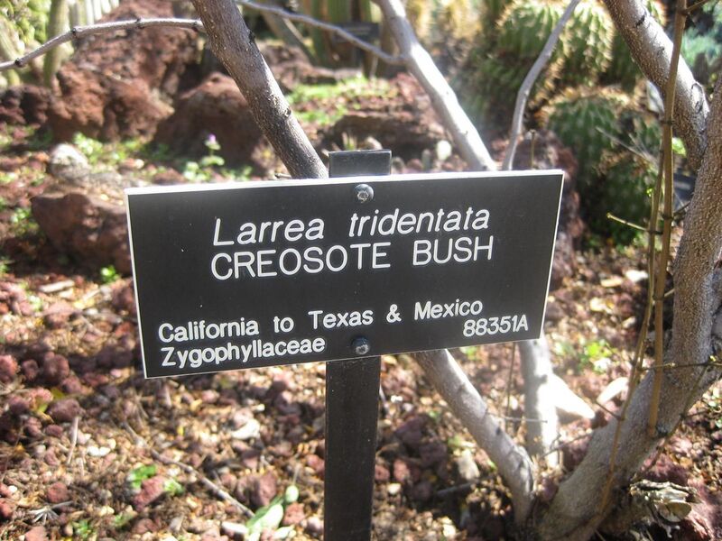 File:1280px-IMG 2461 hunt0903.jpg