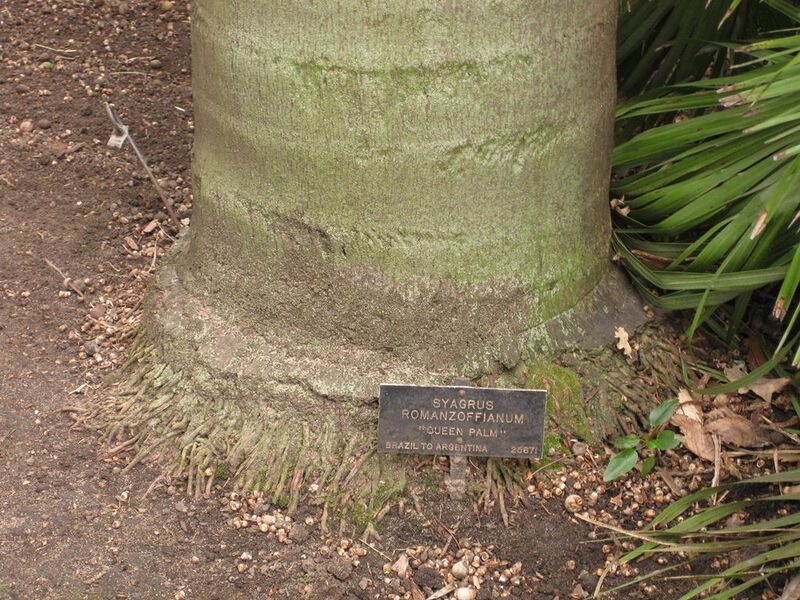 File:1024px-IMG 3964 hunt0904.jpg