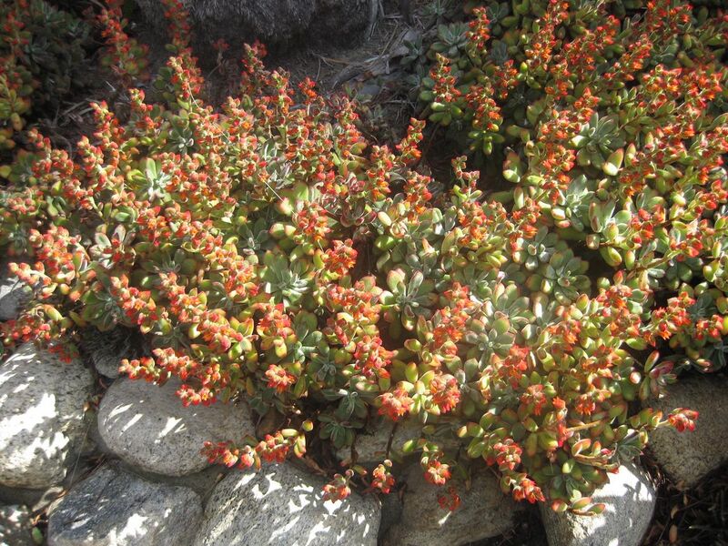 File:1280px-IMG 2262 hunt0903.jpg