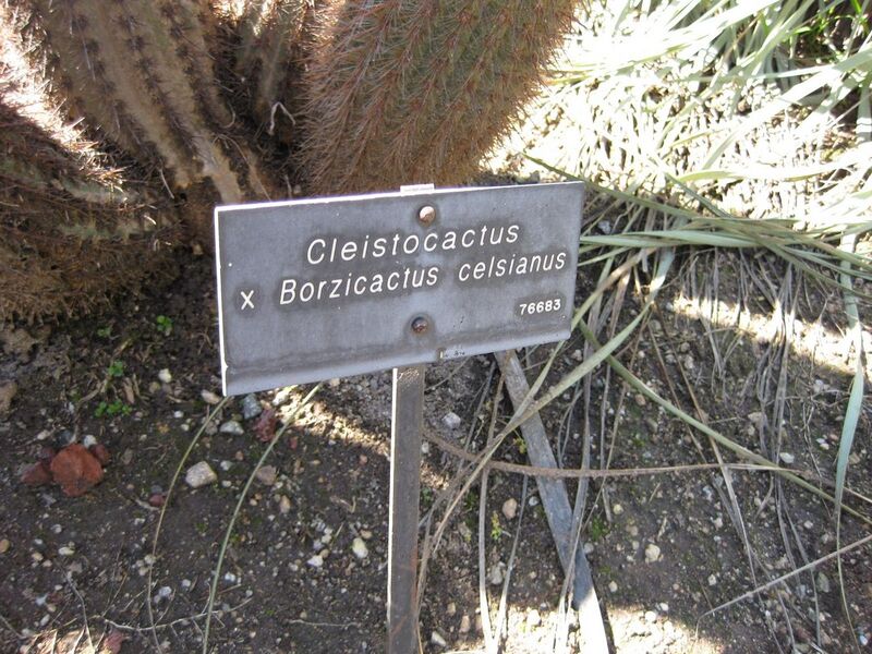 File:1280px-IMG 2497 hunt0903.jpg